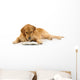 Golden Retriever Read Book Wall Decal