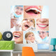 Healthy Teeth and Dental Wall Decal