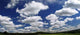 Schafchenwolken Wall Decal