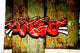 Tag Wall Decal