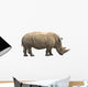 African Rhino Wall Decal