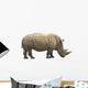 African Rhino Wall Decal