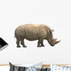African Rhino Wall Decal