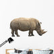 African Rhino Wall Decal