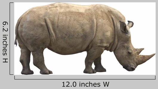 African Rhino Wall Decal