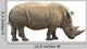 African Rhino Wall Decal