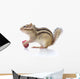 Chipmunk Eating Grapes Wall Decal