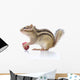Chipmunk Eating Grapes Wall Decal