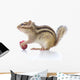 Chipmunk Eating Grapes Wall Decal