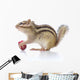 Chipmunk Eating Grapes Wall Decal