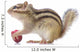 Chipmunk Eating Grapes Wall Decal