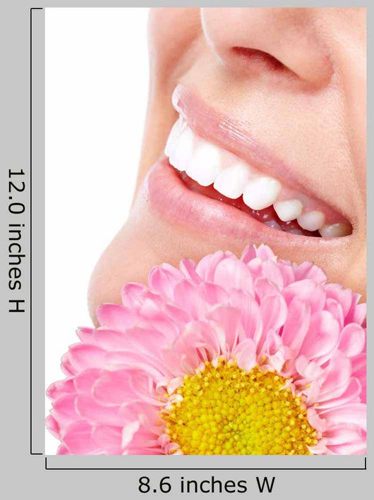 Beautiful Woman Face Wall Decal
