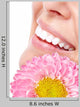 Beautiful Woman Face Wall Decal