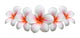 Frangipani Flower Plumeria Bouquet Wall Decal