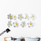 Lot Fleurs Frangipanier Wall Decal