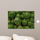 Cactus Wall Decal