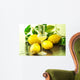 Limoncello Glass with Fresh Wall Decal