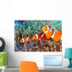 Clownfish Wall Decal