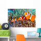 Clownfish Wall Decal