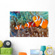 Clownfish Wall Decal