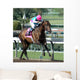 Race Horse Sprinting Wall Decal