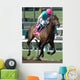 Race Horse Jockey Whipping Wall Decal