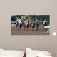 Race Horses Wall Decal