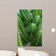 Cactus Close-up Wall Decal