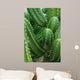 Cactus Close-up Wall Decal