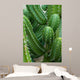 Cactus Close-up Wall Decal