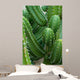 Cactus Close-up Wall Decal