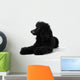 Poodle Sleepy Black White Wall Decal