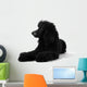 Poodle Sleepy Black White Wall Decal