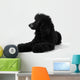 Poodle Sleepy Black White Wall Decal