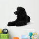 Poodle Sleepy Black White Wall Decal