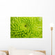 Green Chrysanthemum Wall Decal