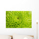 Green Chrysanthemum Wall Decal