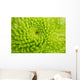 Green Chrysanthemum Wall Decal