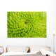 Green Chrysanthemum Wall Decal