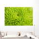 Green Chrysanthemum Wall Decal