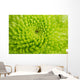 Green Chrysanthemum Wall Decal