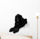 Poodle Lying Wall Decal