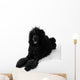 Poodle Lying Wall Decal