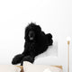 Poodle Lying Wall Decal