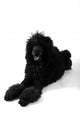 Poodle Lying Wall Decal
