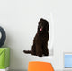 Poodle Sitting 2 Wall Decal