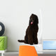 Poodle Sitting 2 Wall Decal