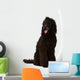 Poodle Sitting 2 Wall Decal
