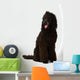 Poodle Sitting 2 Wall Decal