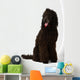 Poodle Sitting 2 Wall Decal